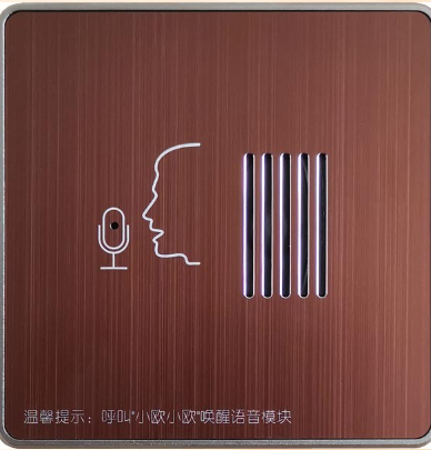 客房系統廠家：客房控制系統可以給企業帶去哪些好處